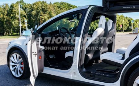 Tesla Model X White